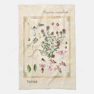 Vintage Herbal Illustrations Wild Thyme Botanical Kitchen Towel