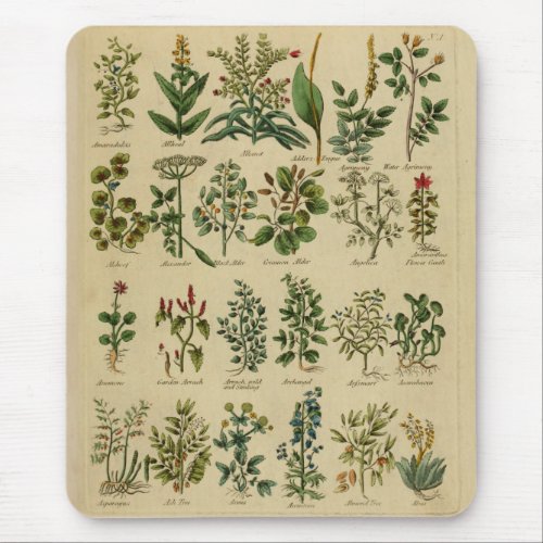 Vintage Herbal Mouse Pad