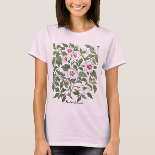 Vintage Hibiscus Flowers by Basilius Besler T_Shirt