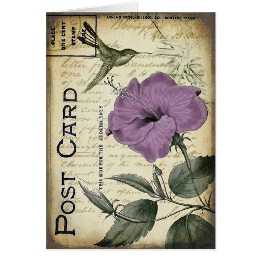 Vintage Hibiscus Hummingbird Cards (Front)