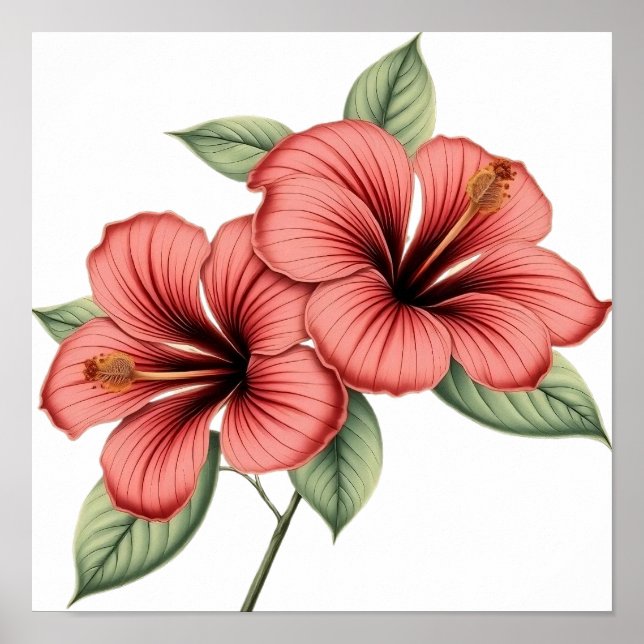 Vintage Hibiscus Poster (Front)