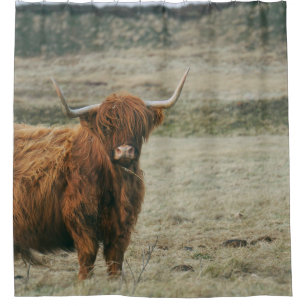 VINTAGE HIGHLAND CATTLE COW PHOTO SHOWER CURTAIN