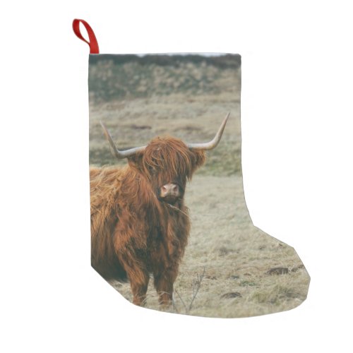 VINTAGE HIGHLAND CATTLE COW PHOTO SMALL CHRISTMAS STOCKING