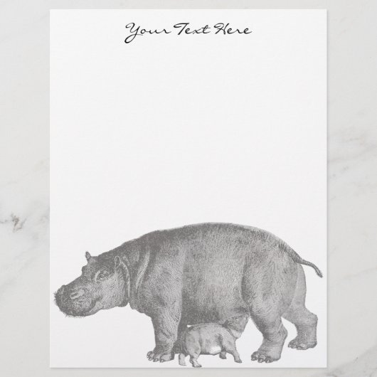 Vintage Hippo Letterhead (Front)