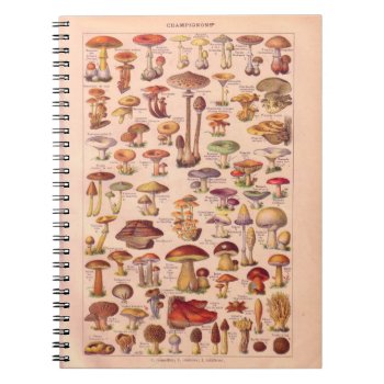 Vintage Historic   Mushrooms Notebook by windsorprints at Zazzle