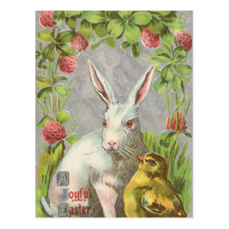 Vintage Holiday Bunny Easter Postcard