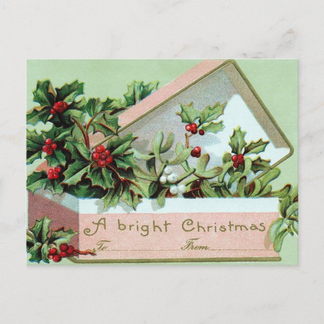 Vintage Holiday holly berry box postcard (Front)