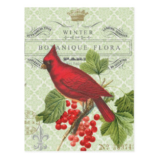 Vintage Holiday-Winter red cardinal-postcard Postcard