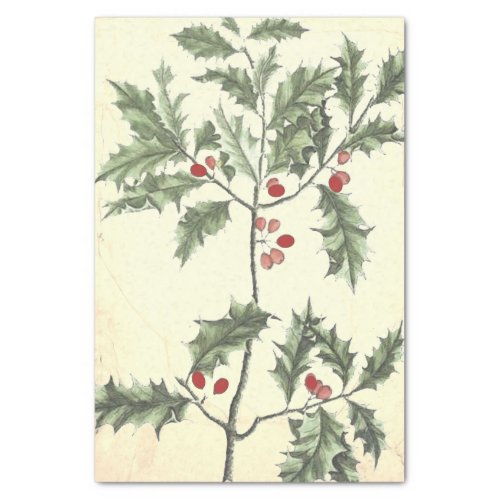 Vintage Holly and berries 1930 Christmas Decoupage Tissue Paper