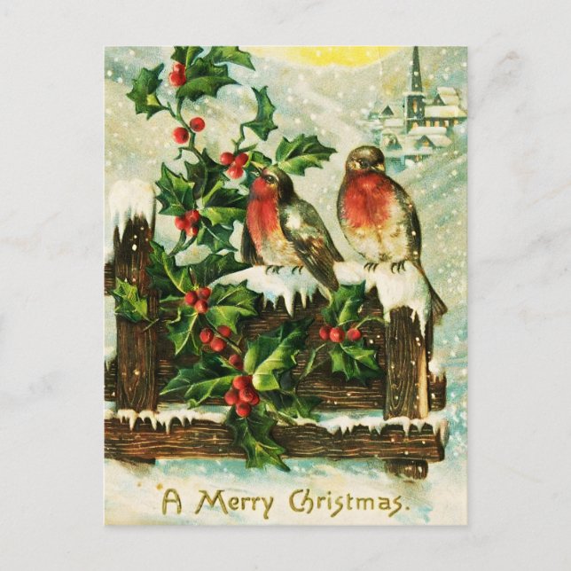 Vintage Holly and birds Christmas  Holiday Postcard (Front)