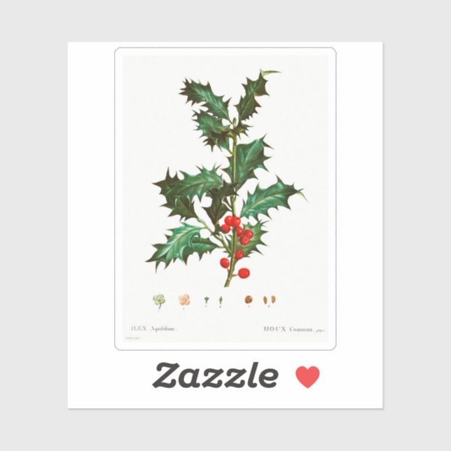 VINTAGE HOLLY BOTANICAL REDOUTÉ CUSTOM STICKER (Sheet)