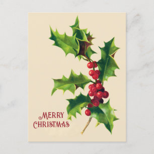 Vintage Holly Christmas Greeting Holiday Postcard