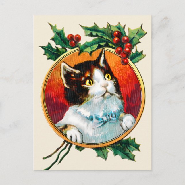 Vintage holly cute cat christmas holiday postcard (Front)