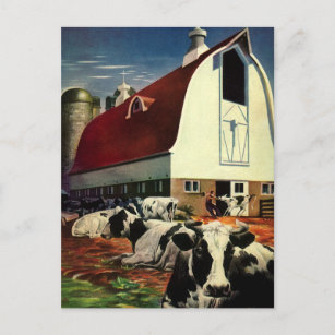 Vintage Holstein Milk Cows on Dairy Farm Business Postcard