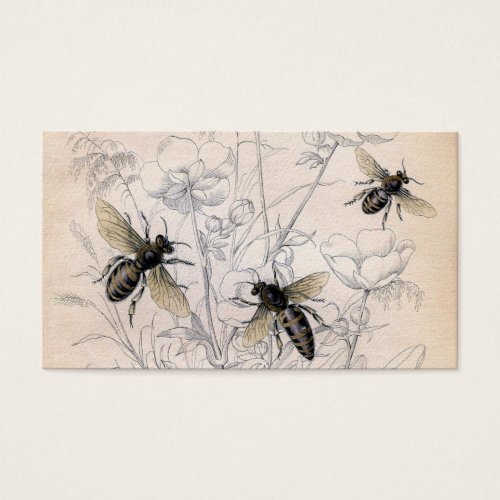 Vintage Honey Bee Art Print Business Card Templates