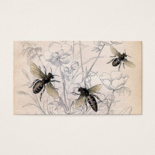 Vintage Honey Bee Art Print (Front)