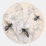 Vintage Honey Bee Art Print Classic Round Sticker at Zazzle