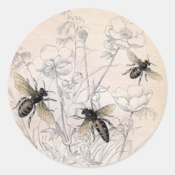 Vintage Honey Bee Art Print Classic Round Sticker by Kinder_Kleider at Zazzle