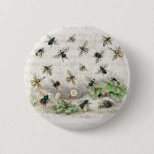 Vintage Honey Bee Queen Bee Entomology Botanical Button