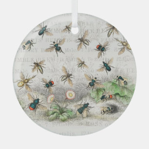 Vintage Honey Bee Queen Bee Entomology Botanical Glass Ornament