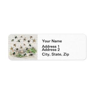 Vintage Honey Bee Queen Bee Entomology Botanical Label