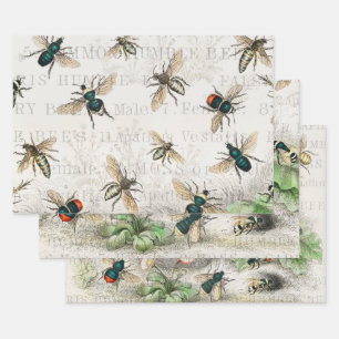 Vintage Honey Bee Queen Bee Entomology Botanical Wrapping Paper Sheets