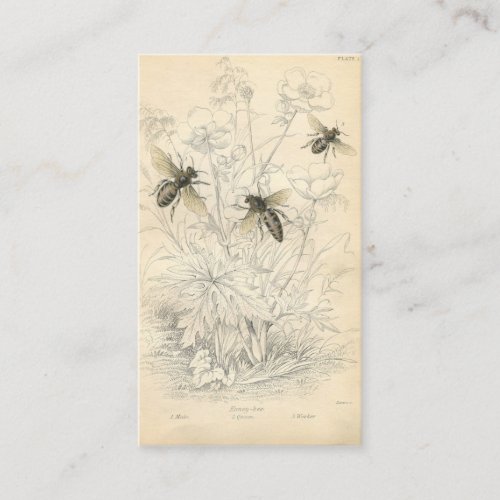 Vintage Honey Bees Drawing Custom Business Card