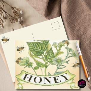 Vintage Honeybee Botanical Illustration Postcard