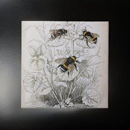 Vintage HoneyBee Illustration | Ceramic Tile