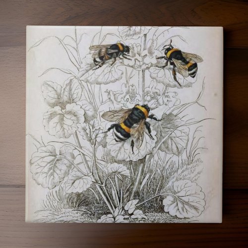 Vintage HoneyBee Illustration  Ceramic Tile