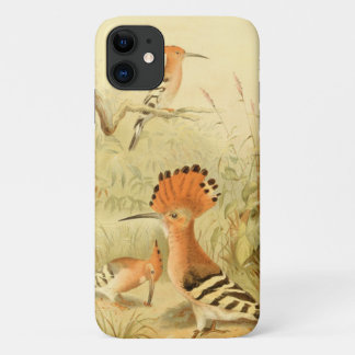 Vintage Hoopoes iPhone 11 Case