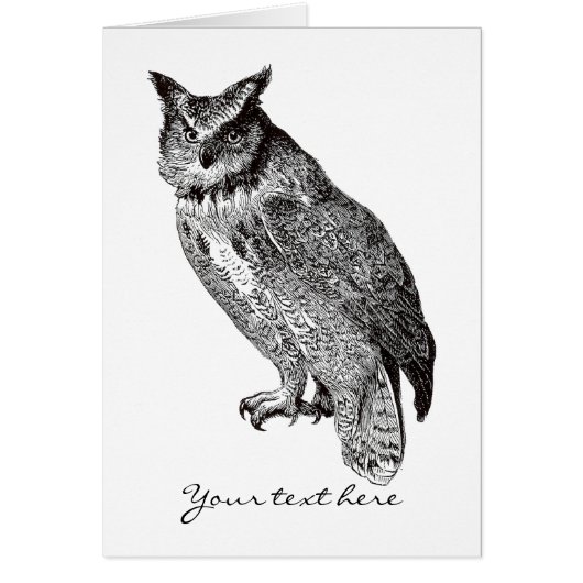 Vintage Horned Owl (Front)