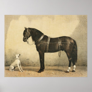 Vintage Horse and Dog Poster or Decoupage Paper