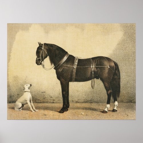 Vintage Horse and Dog Poster or Decoupage Paper