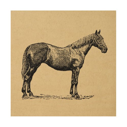 Vintage Horse Art Illustrated Equestrian Art
