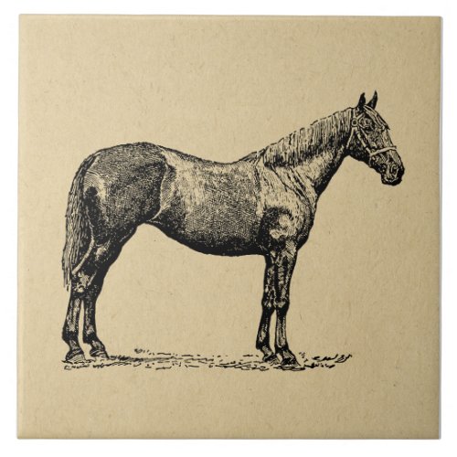 Vintage Horse Art Illustrated Equestrian Art Ceramic Tile