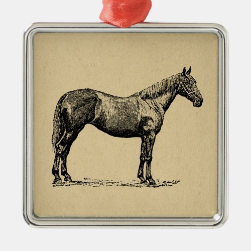 Vintage Horse Art Illustrated Equestrian Art Metal Ornament