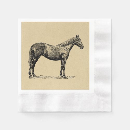 Vintage Horse Art Illustrated Equestrian Art Napkins