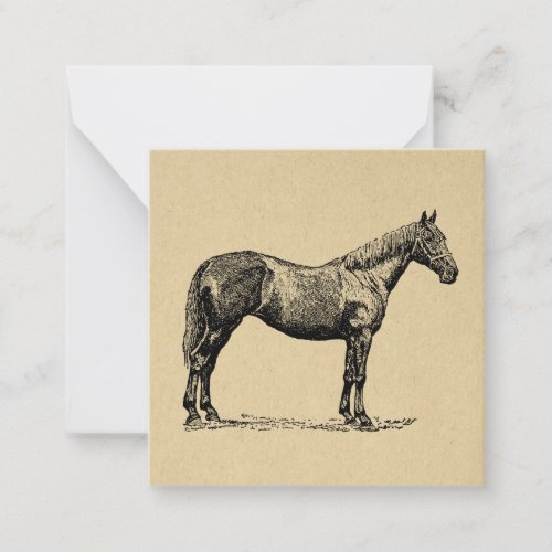 Vintage Horse Art Illustrated Equestrian Art Note Card