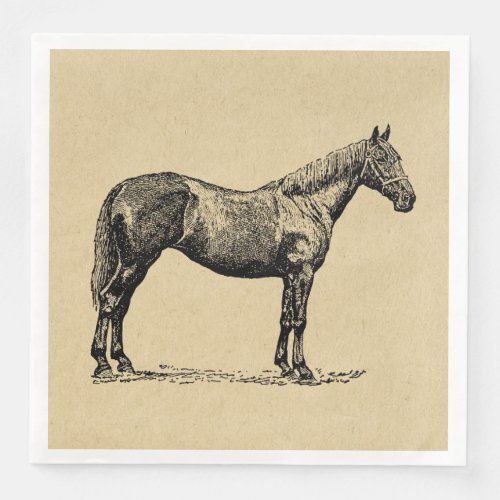 Vintage Horse Art Illustrated Equestrian Art Paper Dinner Napkins