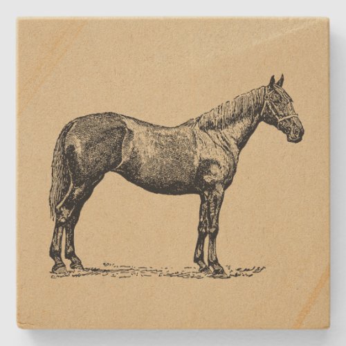 Vintage Horse Art Illustrated Equestrian Art Stone Coaster