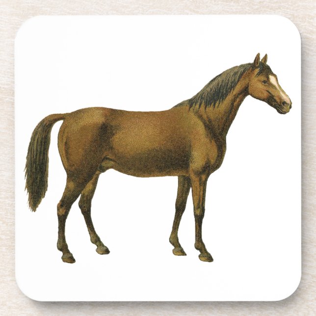Vintage Horse Beverage Coaster (Front)