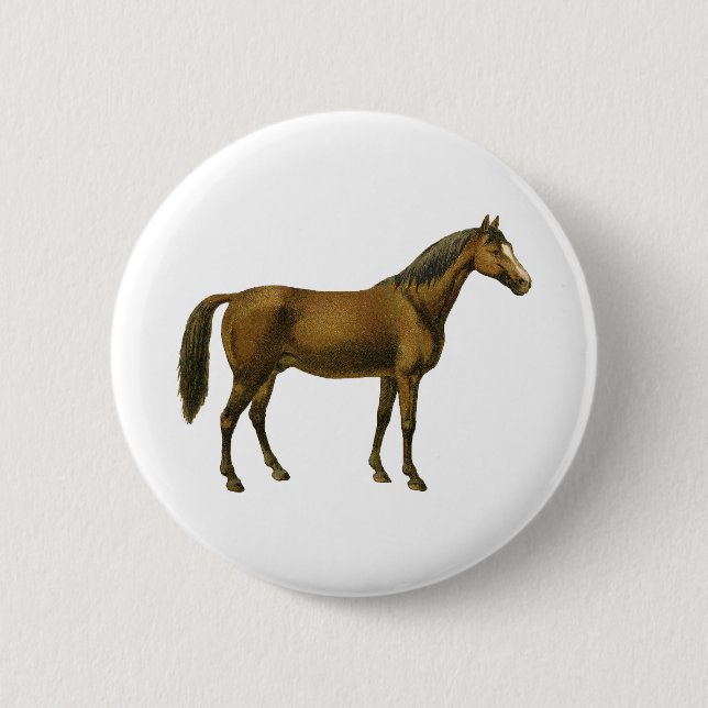 Vintage Horse Button (Front)