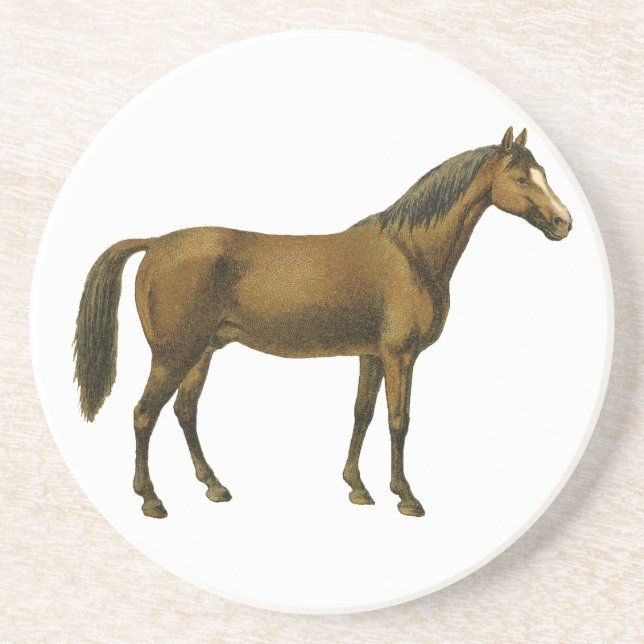 Vintage Horse Drink Coaster (Front)