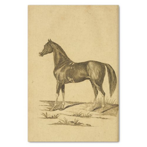 Vintage Horse Ephemera Decoupage Tissue Paper