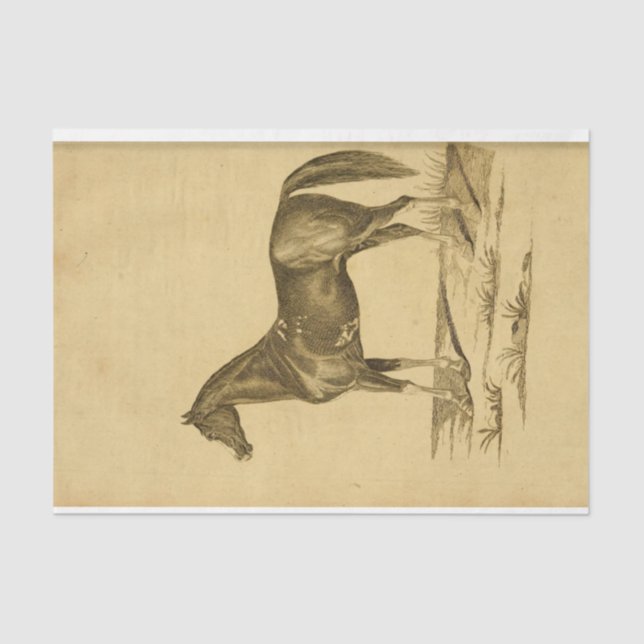 Vintage Horse Ephemera Decoupage Tissue Paper (Front)