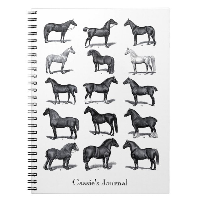 Vintage horse equestrian rider personalized notebook (Front)