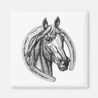 Vintage Horse & Horseshoe Fridge Magnet