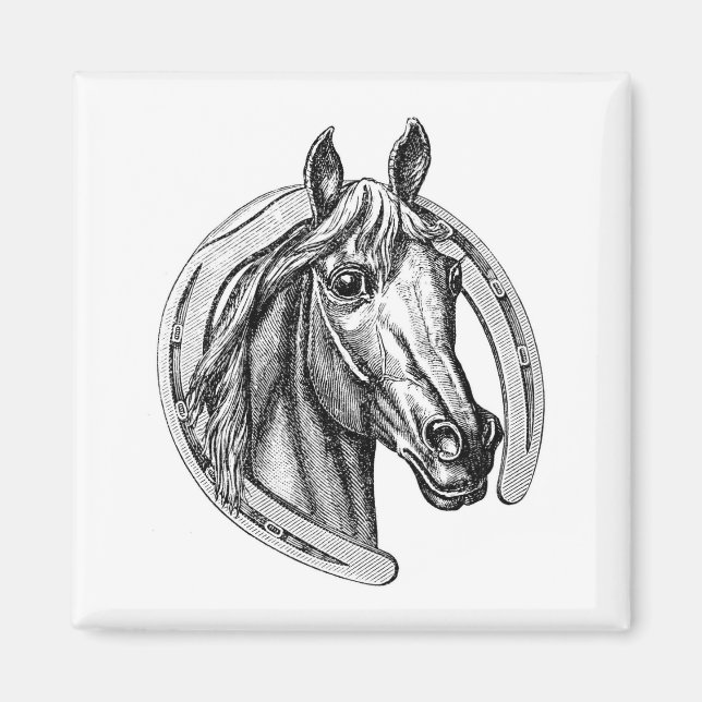 Vintage Horse & Horseshoe Fridge Magnet (Front)