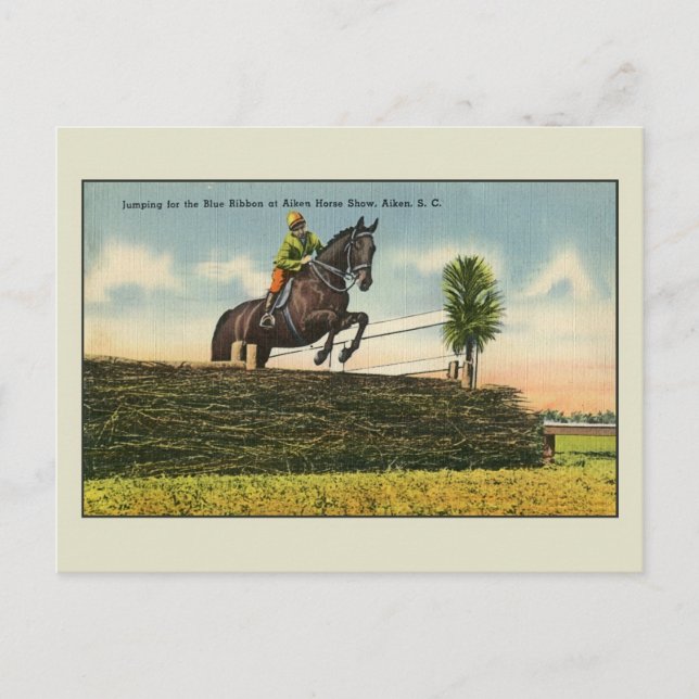 Vintage Horse Jumping Aikin SC Postcard (Front)